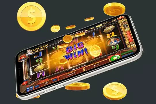5333bet